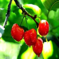 麻豆国产精品无码人妻无码