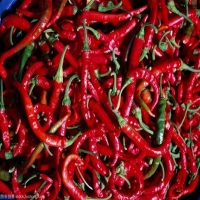 麻豆国产精品无码人妻无码