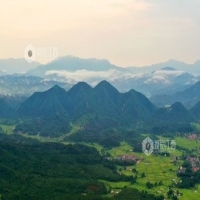 麻豆国产精品无码人妻无码