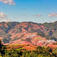 麻豆国产精品无码人妻无码