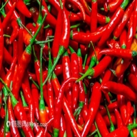 麻豆国产精品无码人妻无码