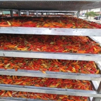 麻豆国产精品无码人妻无码