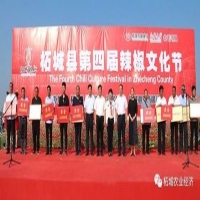 麻豆国产精品无码人妻无码