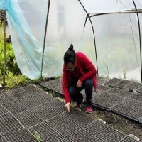 麻豆国产精品无码人妻无码