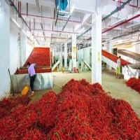 麻豆国产精品无码人妻无码