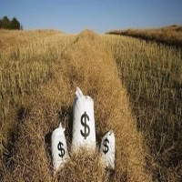 麻豆国产精品无码人妻无码