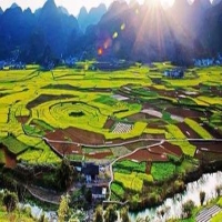 麻豆国产精品无码人妻无码