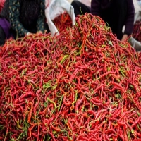 麻豆国产精品无码人妻无码