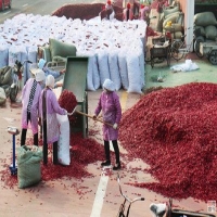 麻豆国产精品无码人妻无码