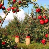 麻豆国产精品无码人妻无码