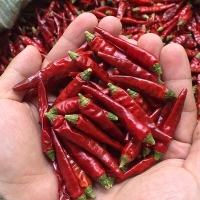 麻豆国产精品无码人妻无码