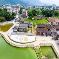 麻豆国产精品无码人妻无码